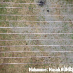 MUHAMMET MUSAB GÜMÜŞ ( SERGİLEME )