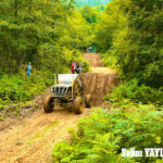 SELİM YAYLA ( SERGİLEME )